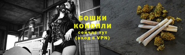 молекула духа Богданович