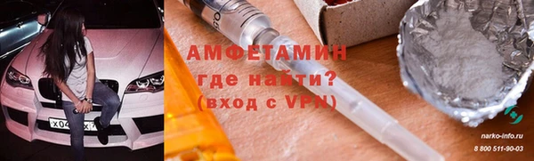молекула духа Богданович