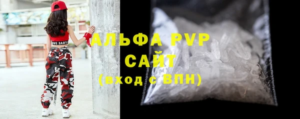 молекула духа Богданович