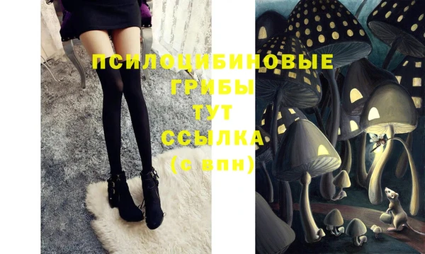 спиды Беломорск