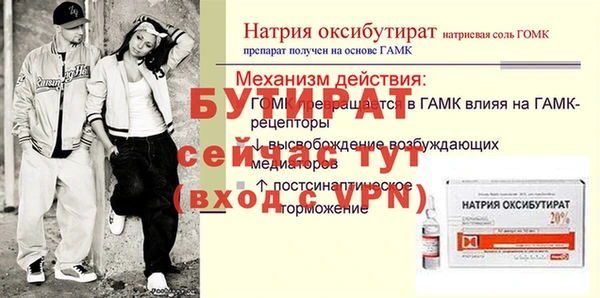 молекула духа Богданович