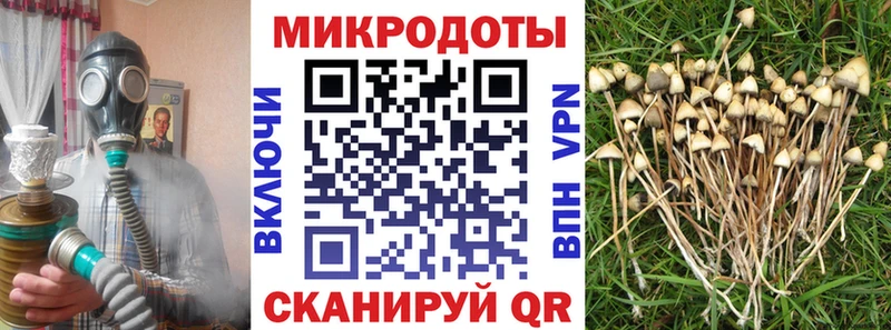 наркота  Клинцы  Псилоцибиновые грибы Magic Shrooms 
