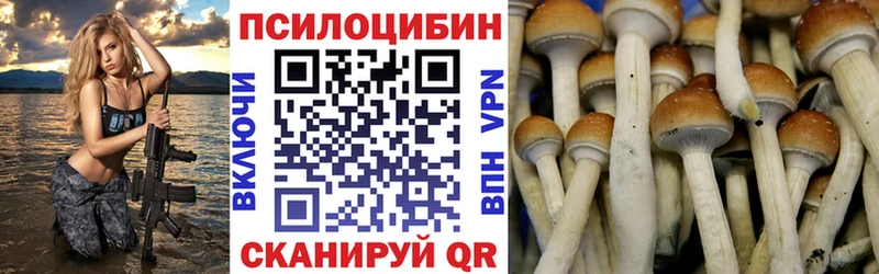 Галлюциногенные грибы MAGIC MUSHROOMS Клинцы